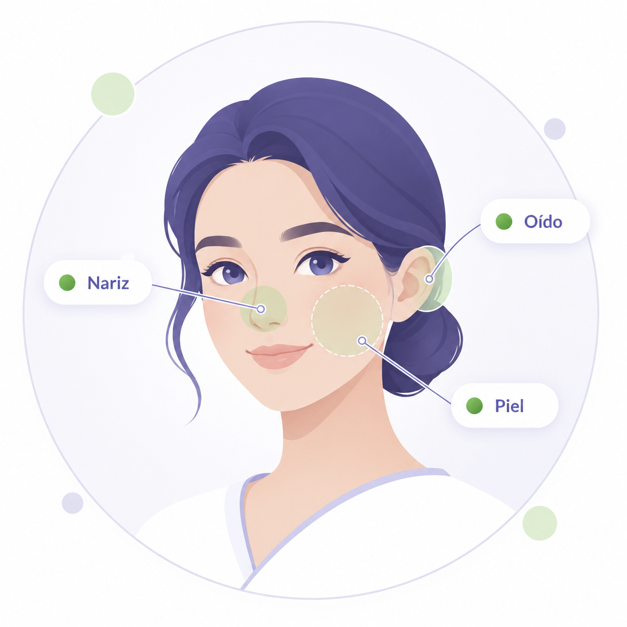 Ilustración de una persona mostrand la piel del rostro, con áreas destacadas que representan las condiciones que tratamos
