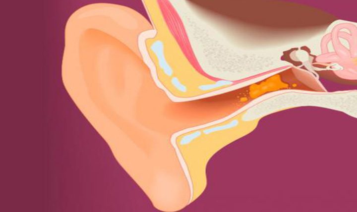 What is cerumen and what is its function?