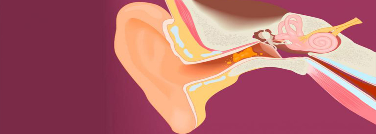 What is cerumen and what is its function? - Otopharma